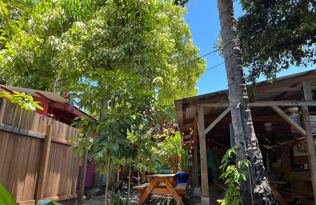 Banana Bungalow Maui Hostel-1
